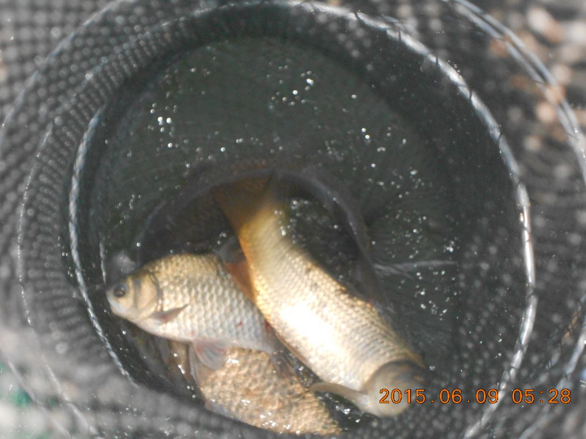 DSCN3899.JPG