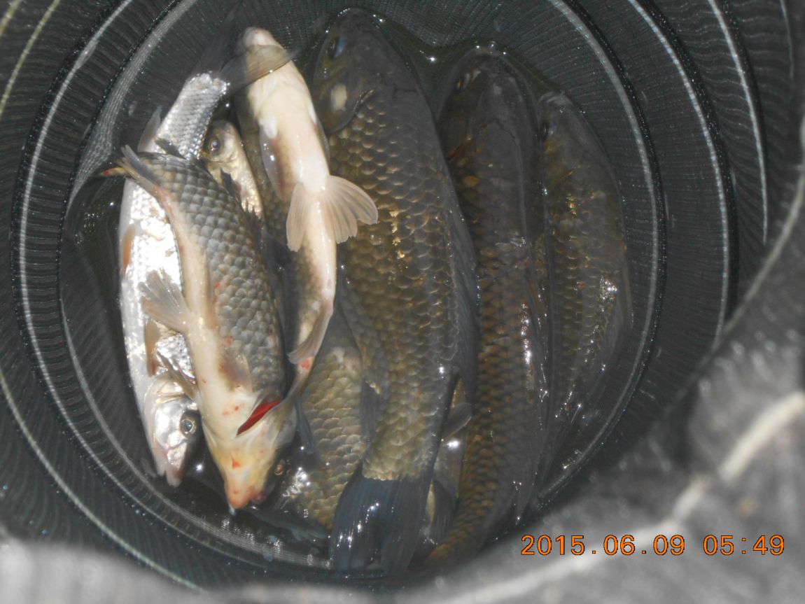 DSCN3901.JPG