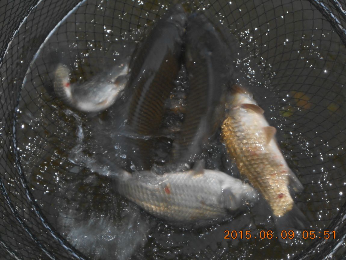 DSCN3903.JPG