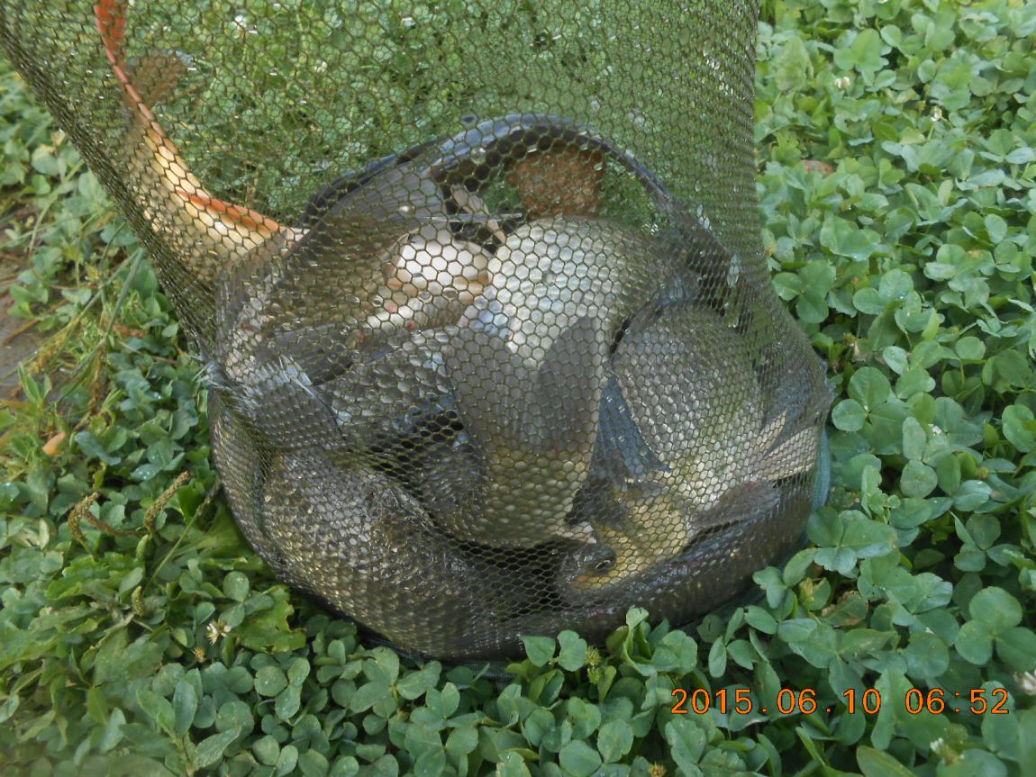 DSCN3904.JPG