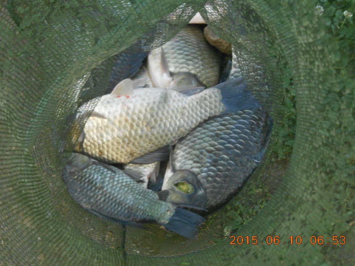 DSCN3905.JPG