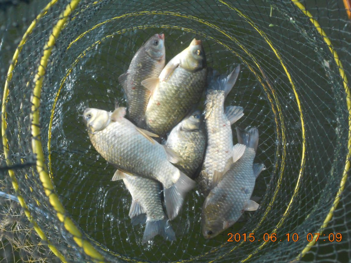 DSCN3906.JPG