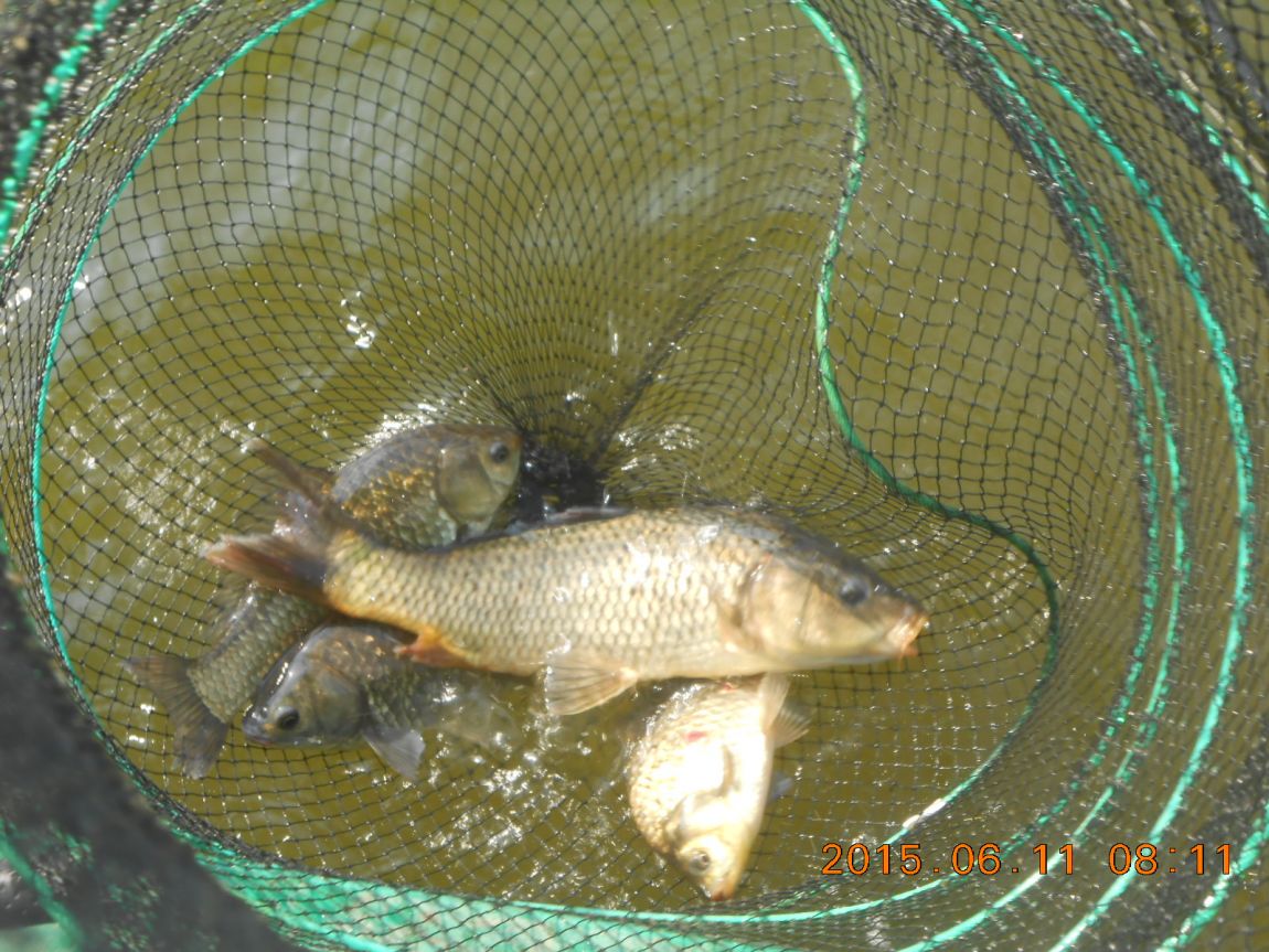 DSCN3907.JPG