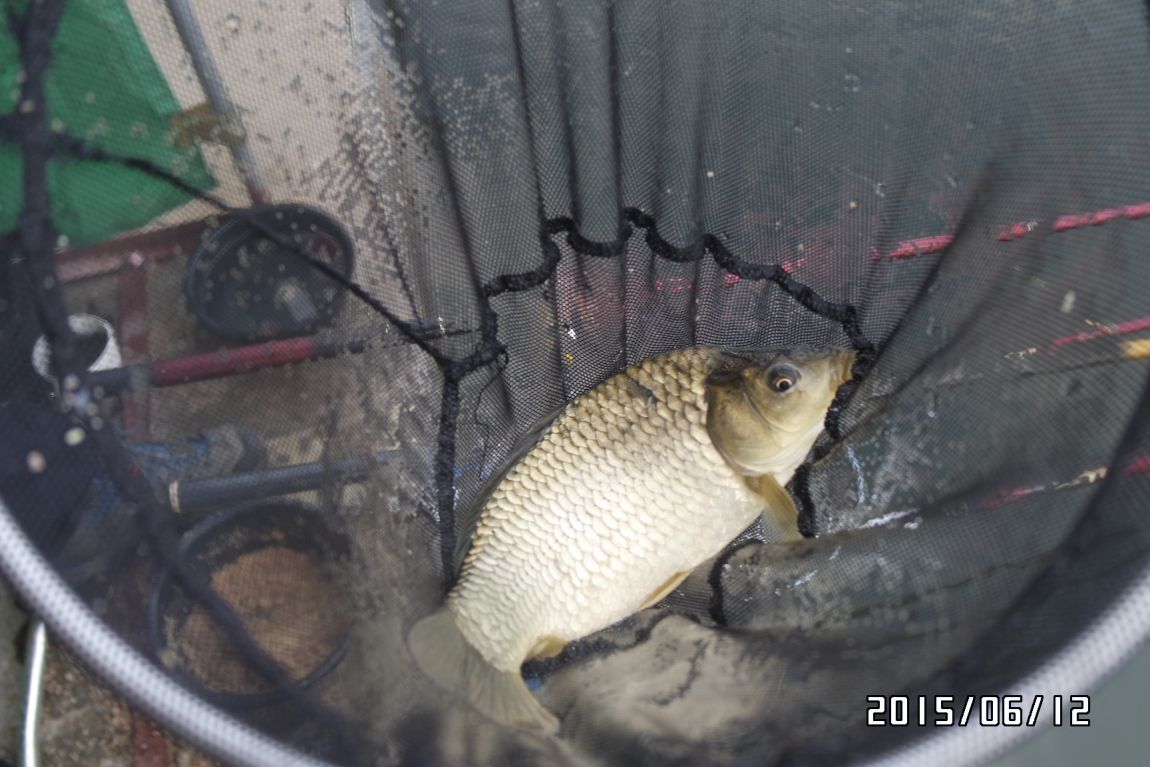 6��12�� 007.jpg