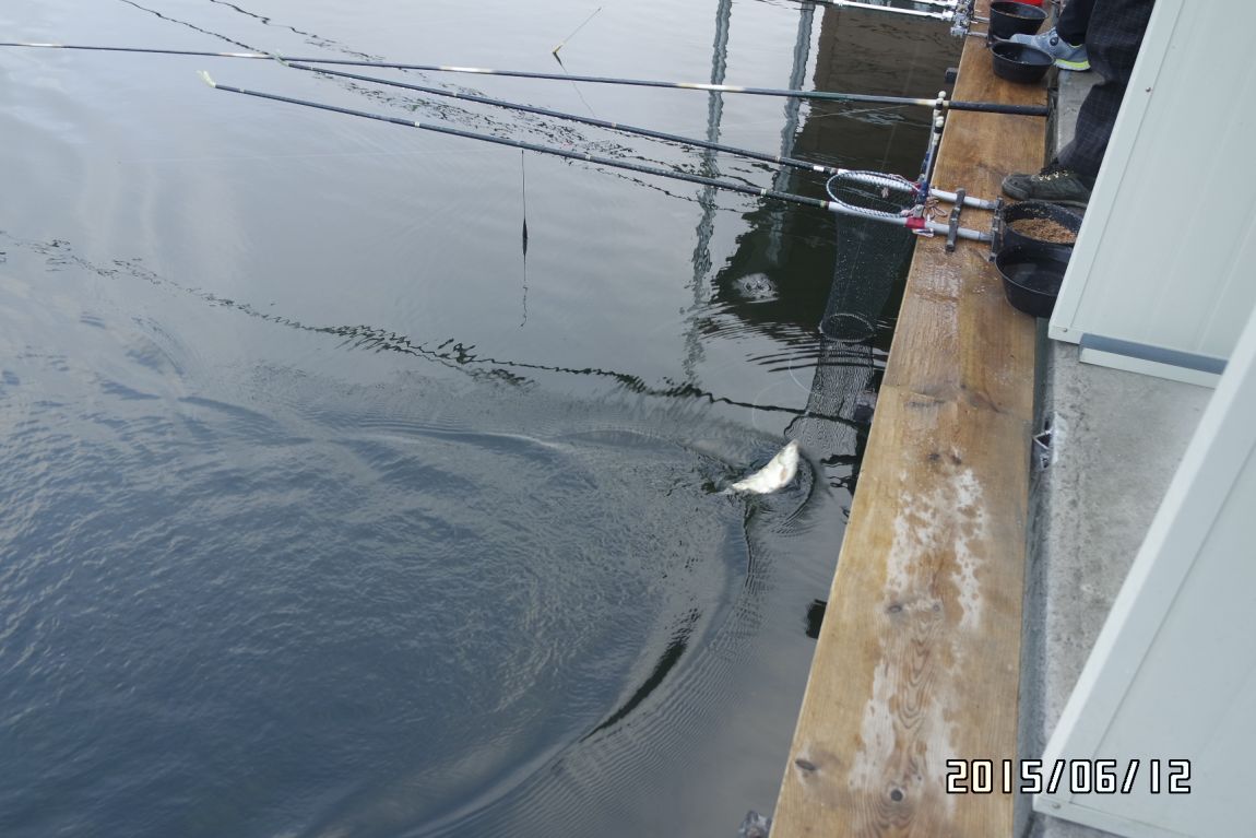 6��12�� 013.jpg