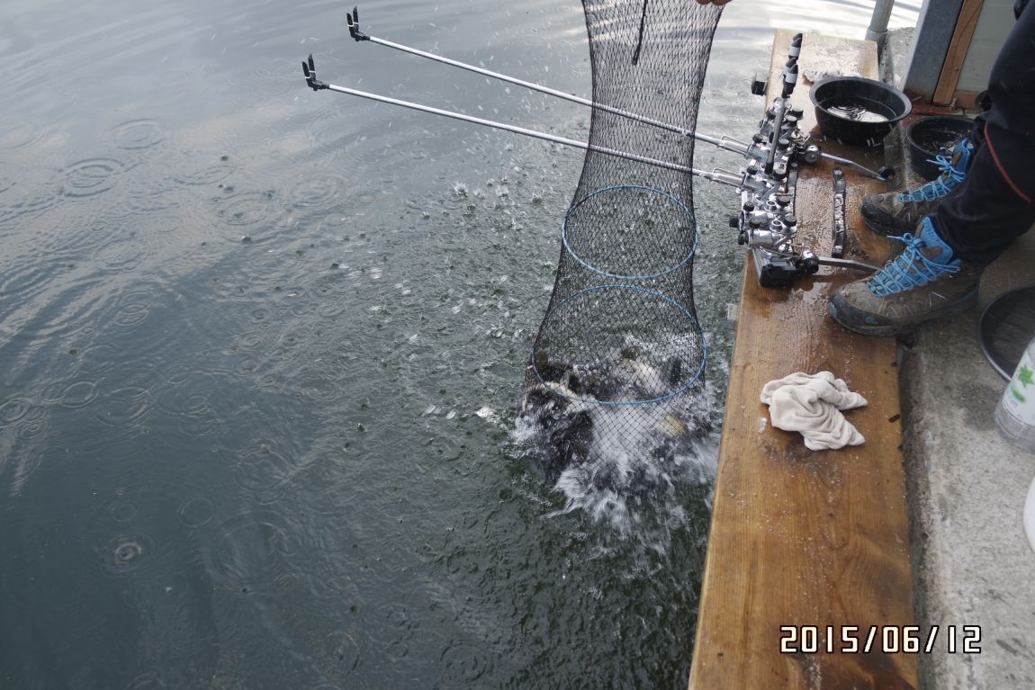 6��12�� 018.jpg