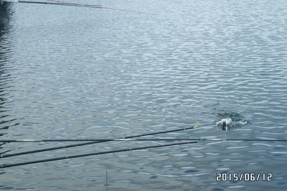 6��12�� 022.jpg