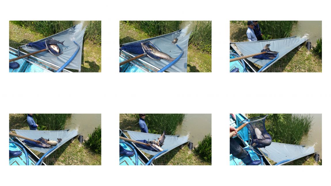 ContactSheet-1 copy.jpg