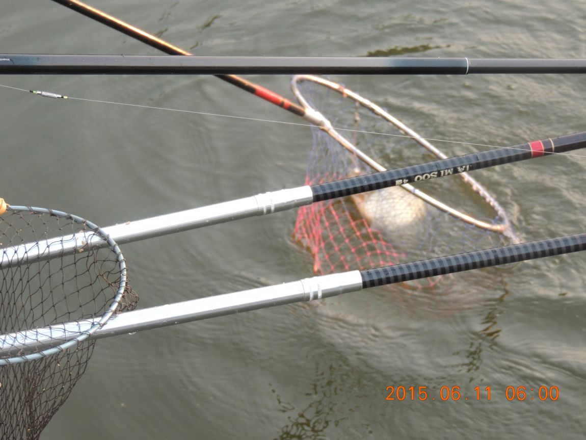 DSCN6946.JPG