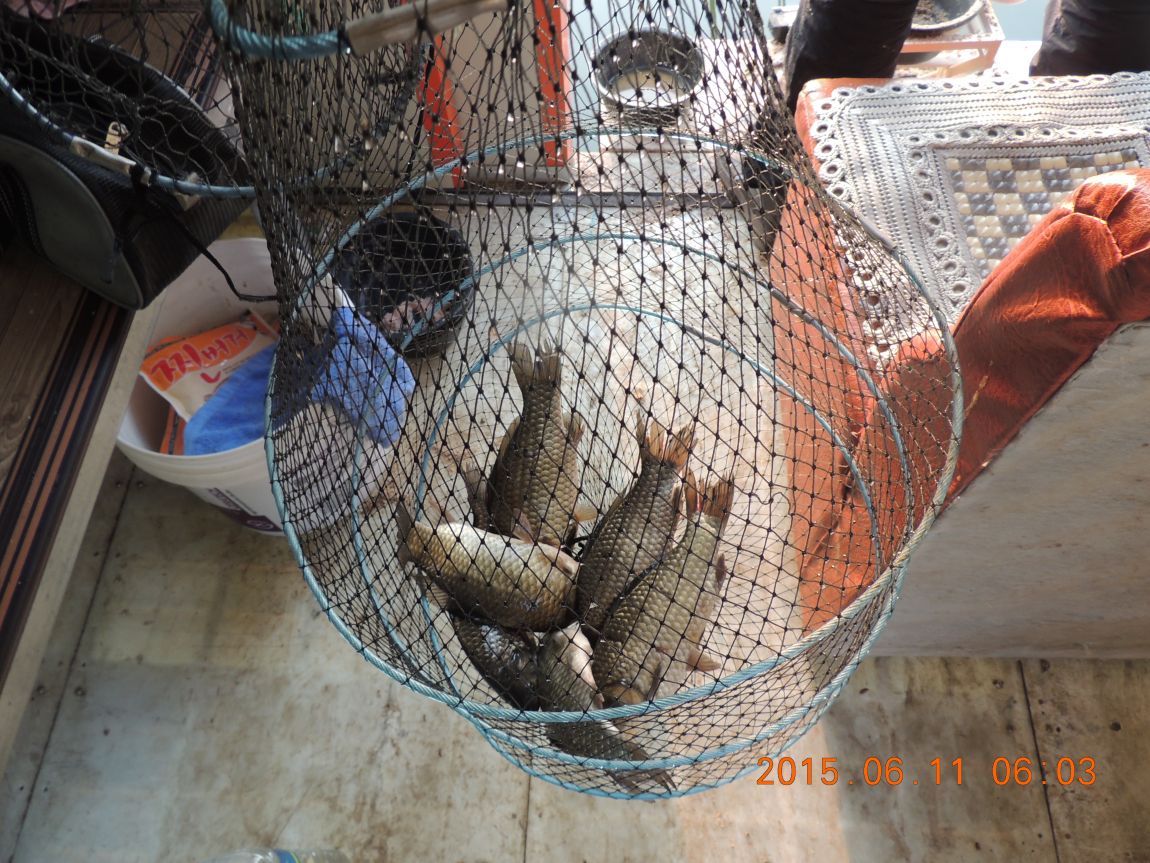 DSCN6947.JPG