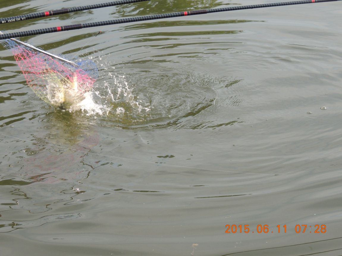 DSCN6950.JPG
