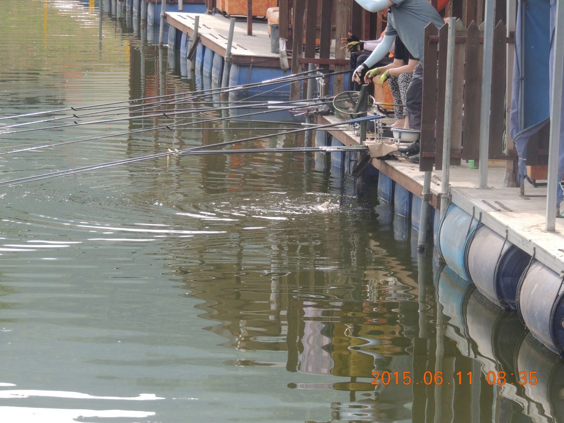 DSCN6956.JPG