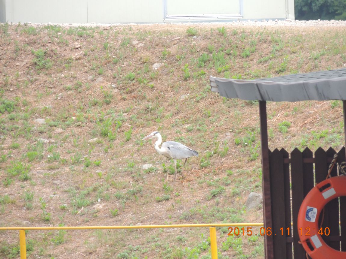 DSCN6959.JPG