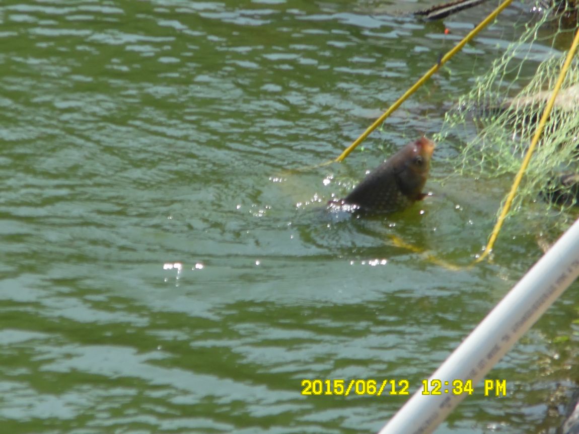 6��11��~12�� 009.JPG