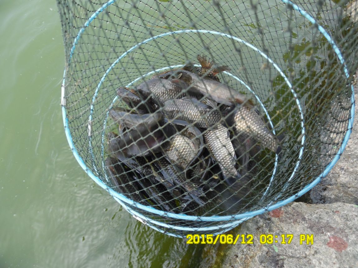 6��11��~12�� 011.JPG