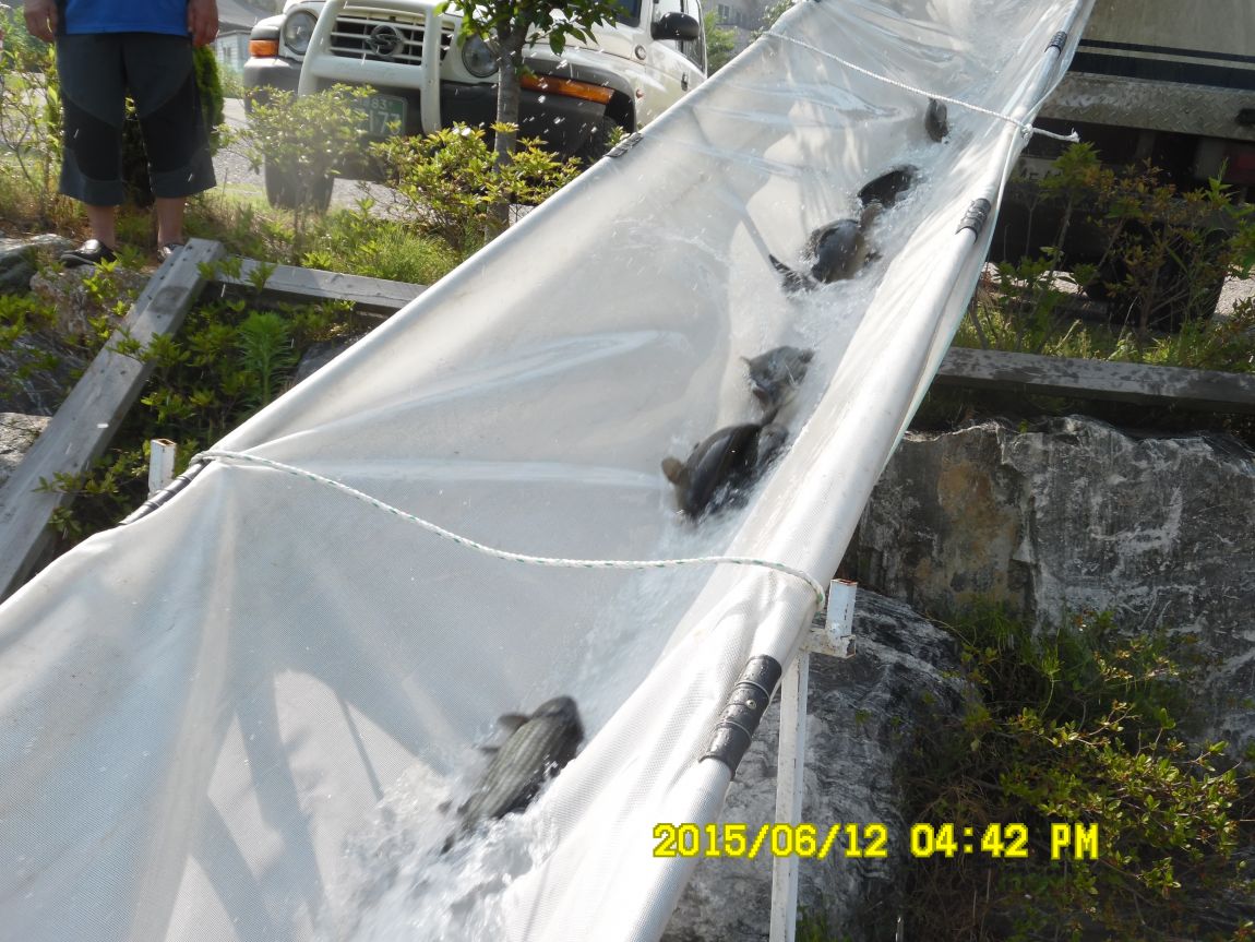 6��11��~12�� 018.JPG