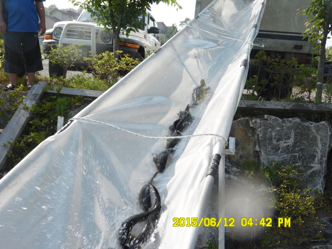 6��11��~12�� 019.JPG