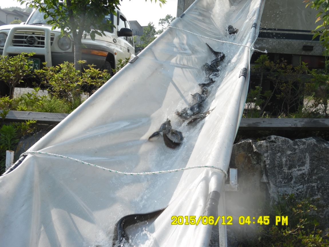 6��11��~12�� 026.JPG