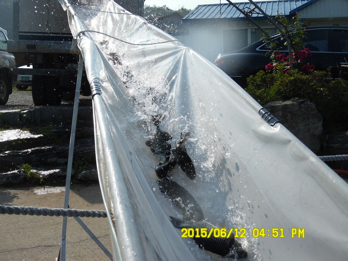 6��11��~12�� 034.JPG