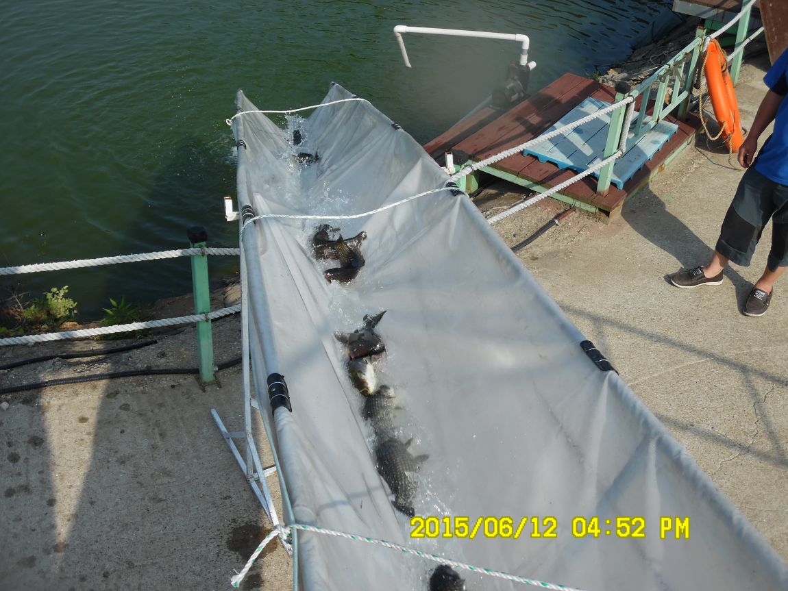 6��11��~12�� 035.JPG