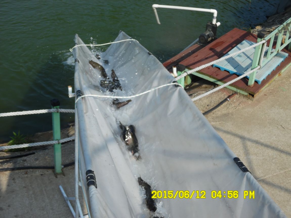 6��11��~12�� 044.JPG