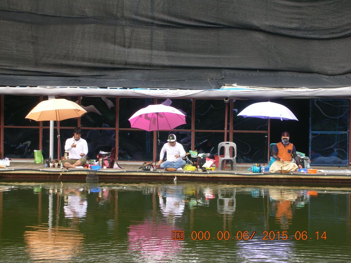 DSCN3977.JPG