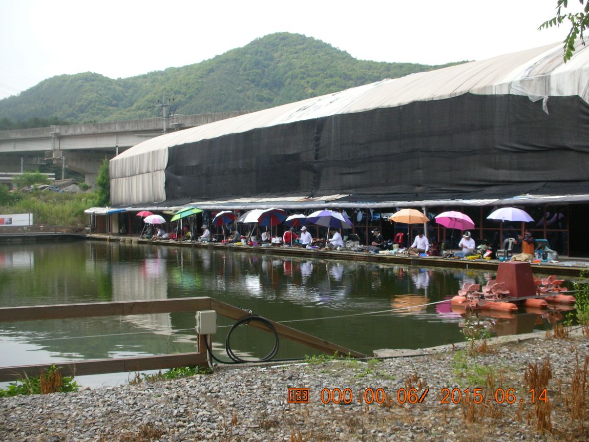 DSCN3978.JPG