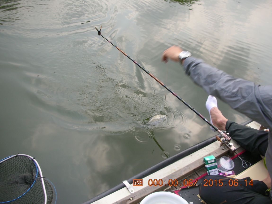 DSCN3981.JPG