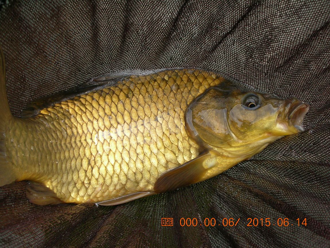 DSCN3985.JPG