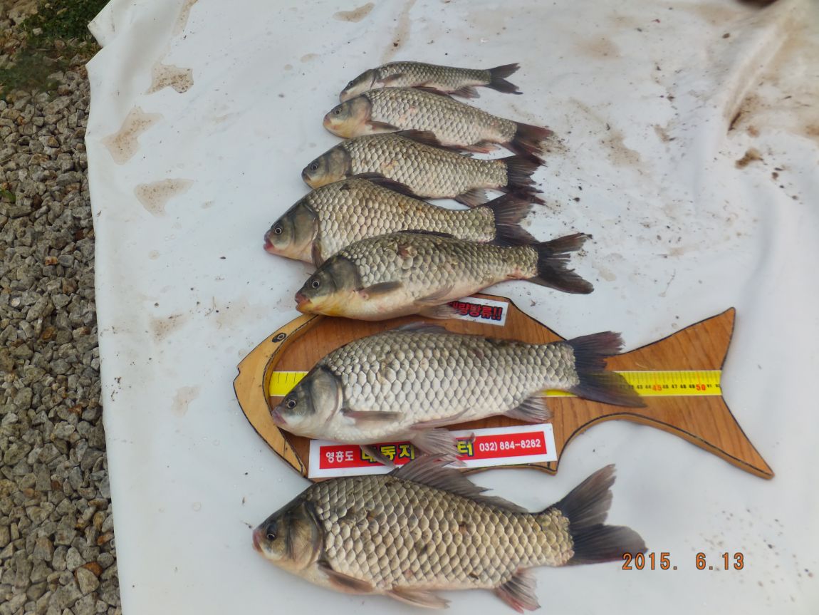 201300703 042.jpg