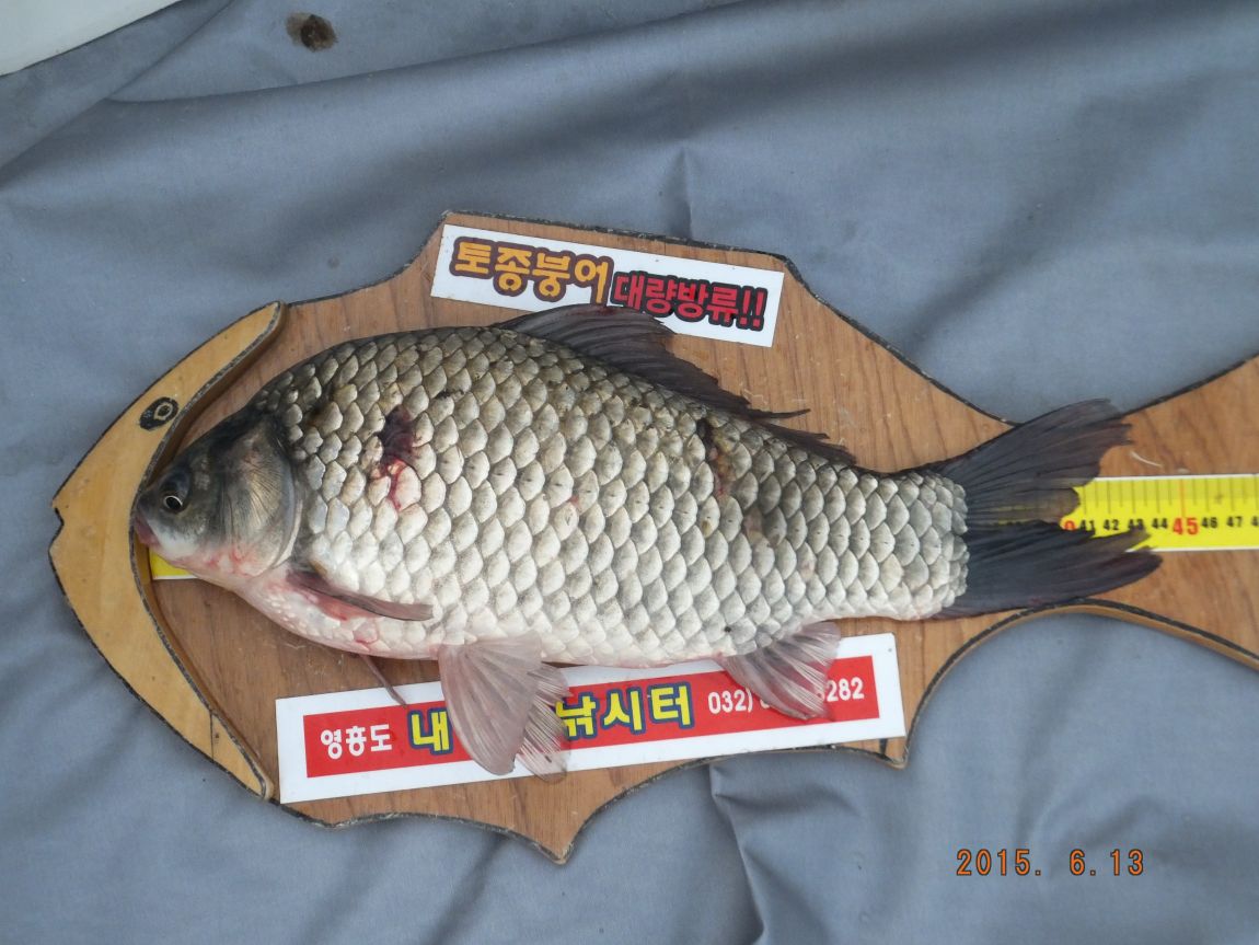 201300703 025.jpg