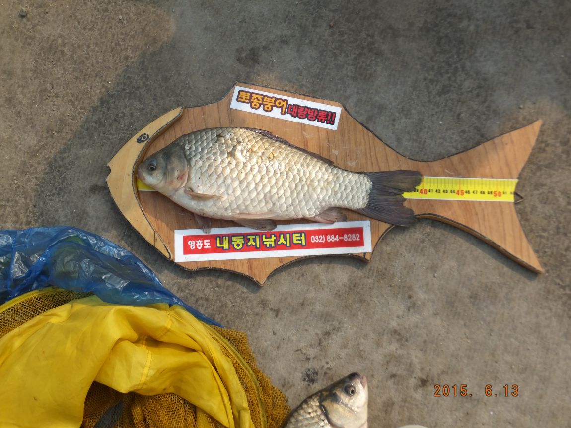 201300703 050.jpg