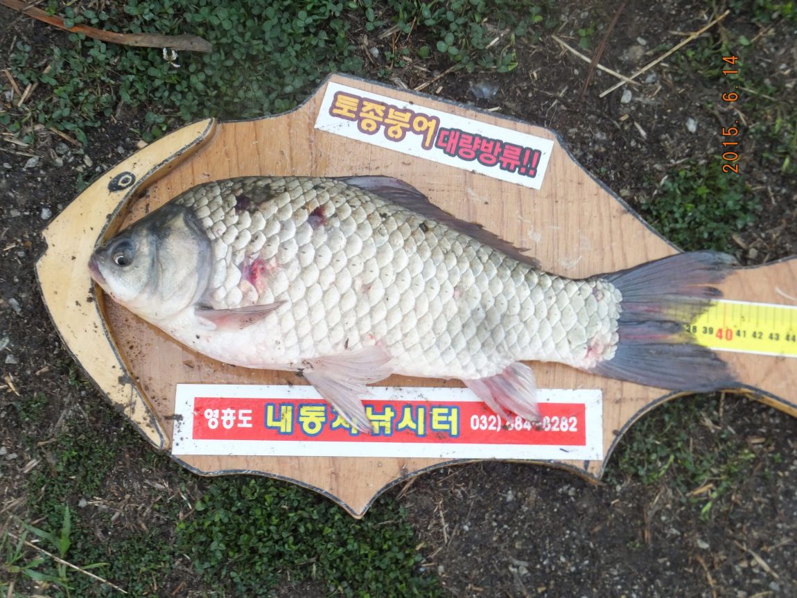 201300703 066.jpg