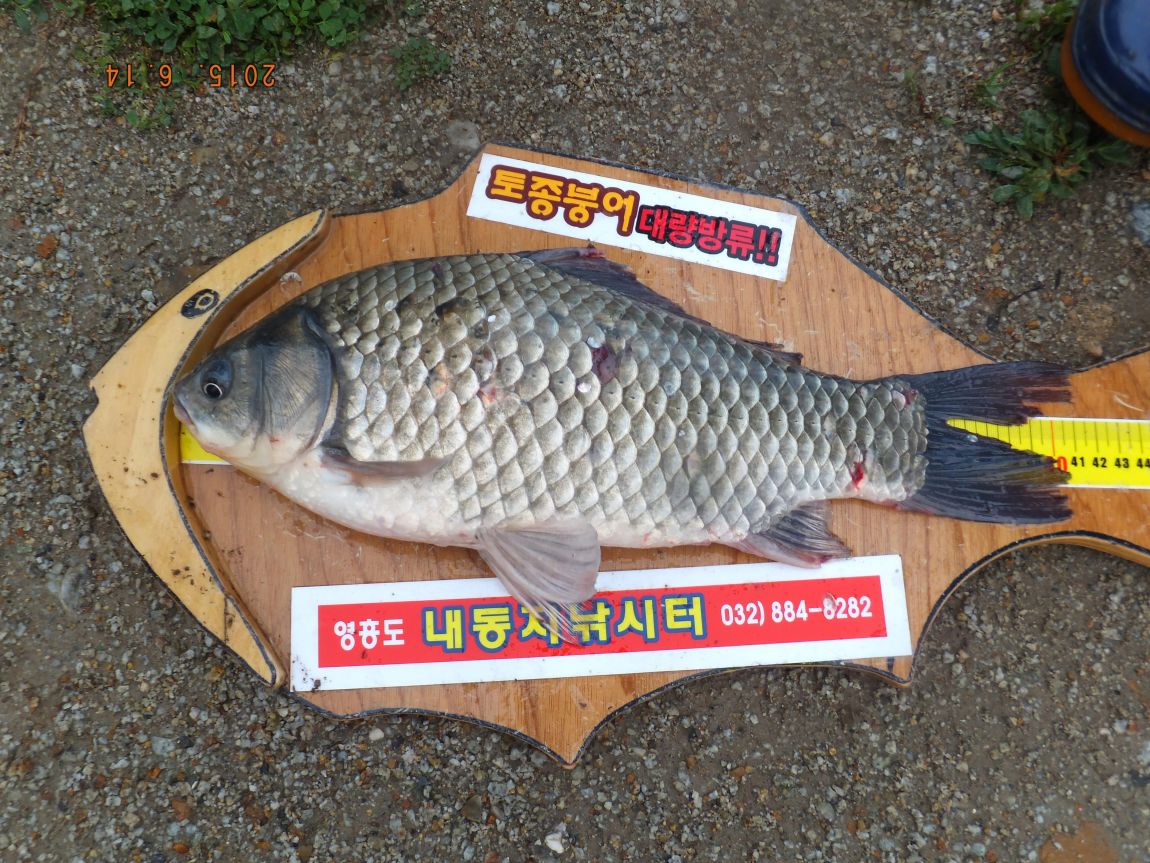 201300703 088.jpg