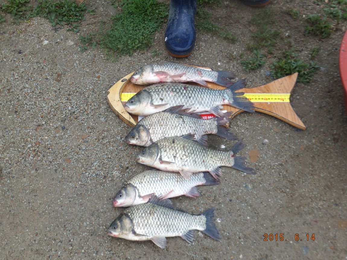 201300703 091.jpg