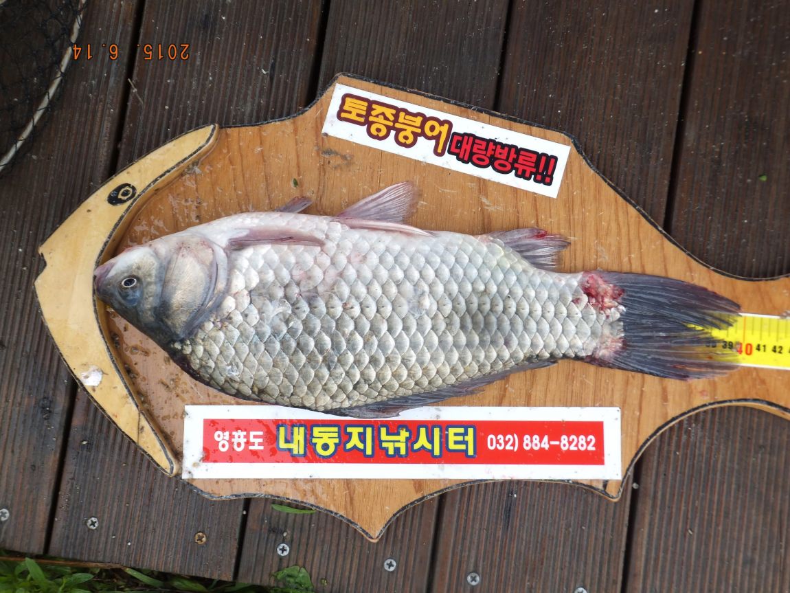 201300703 108.jpg