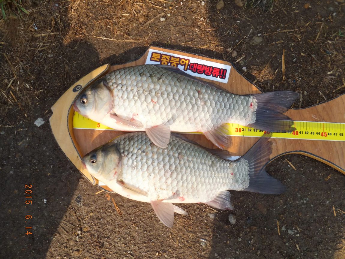 201300703 118.jpg
