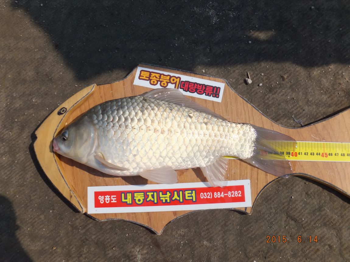 201300703 131.jpg