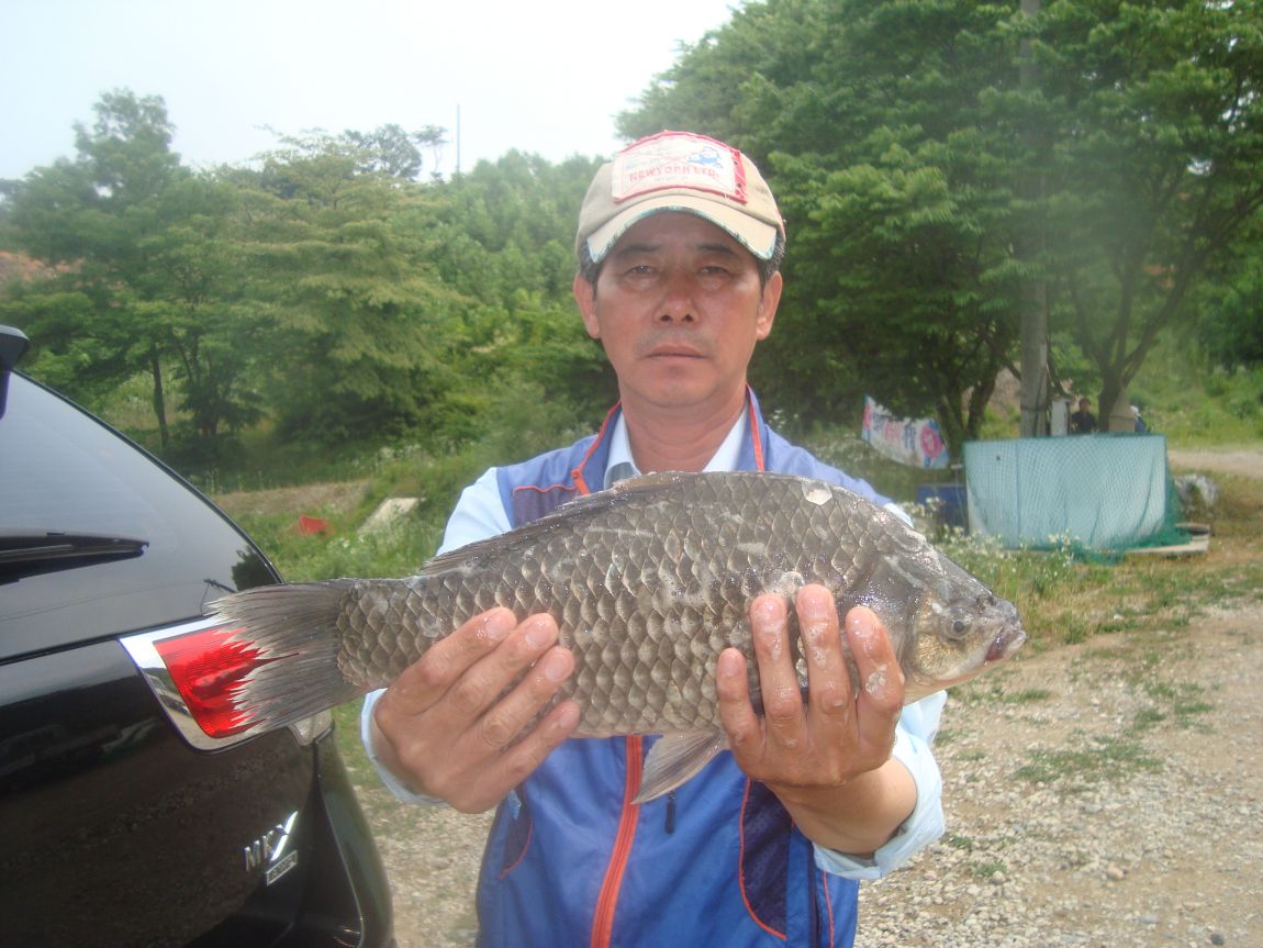 2015-6-18 012.JPG