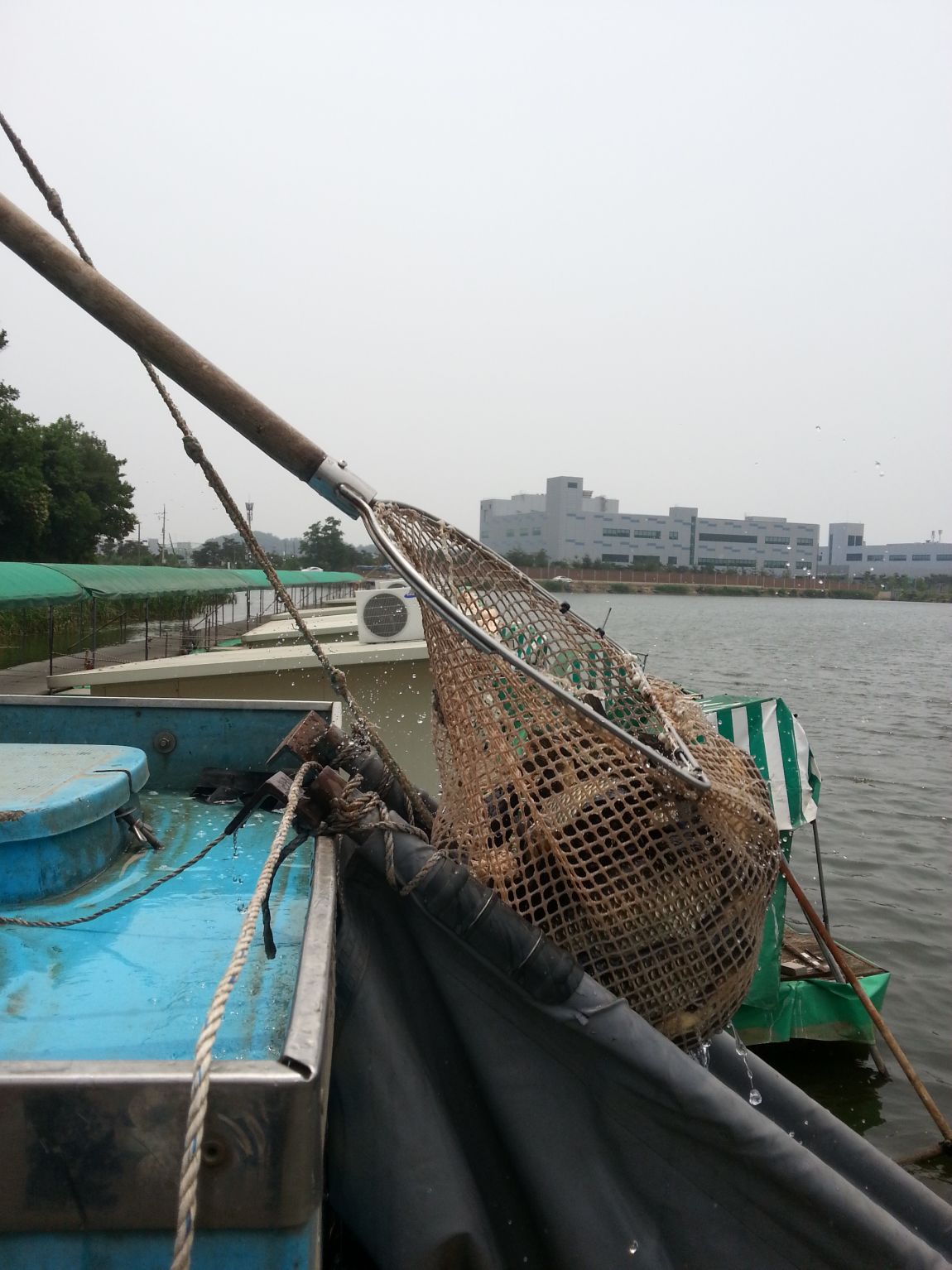 20150613_123737.jpg