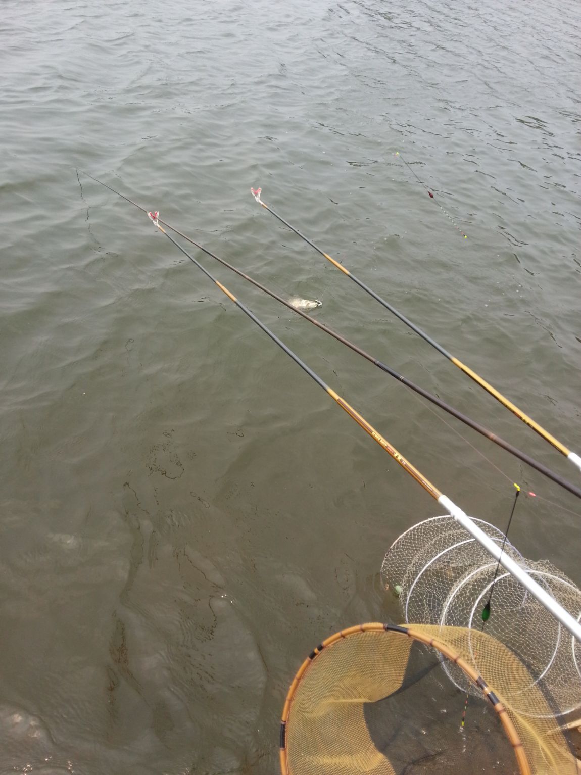 20150613_140504.jpg