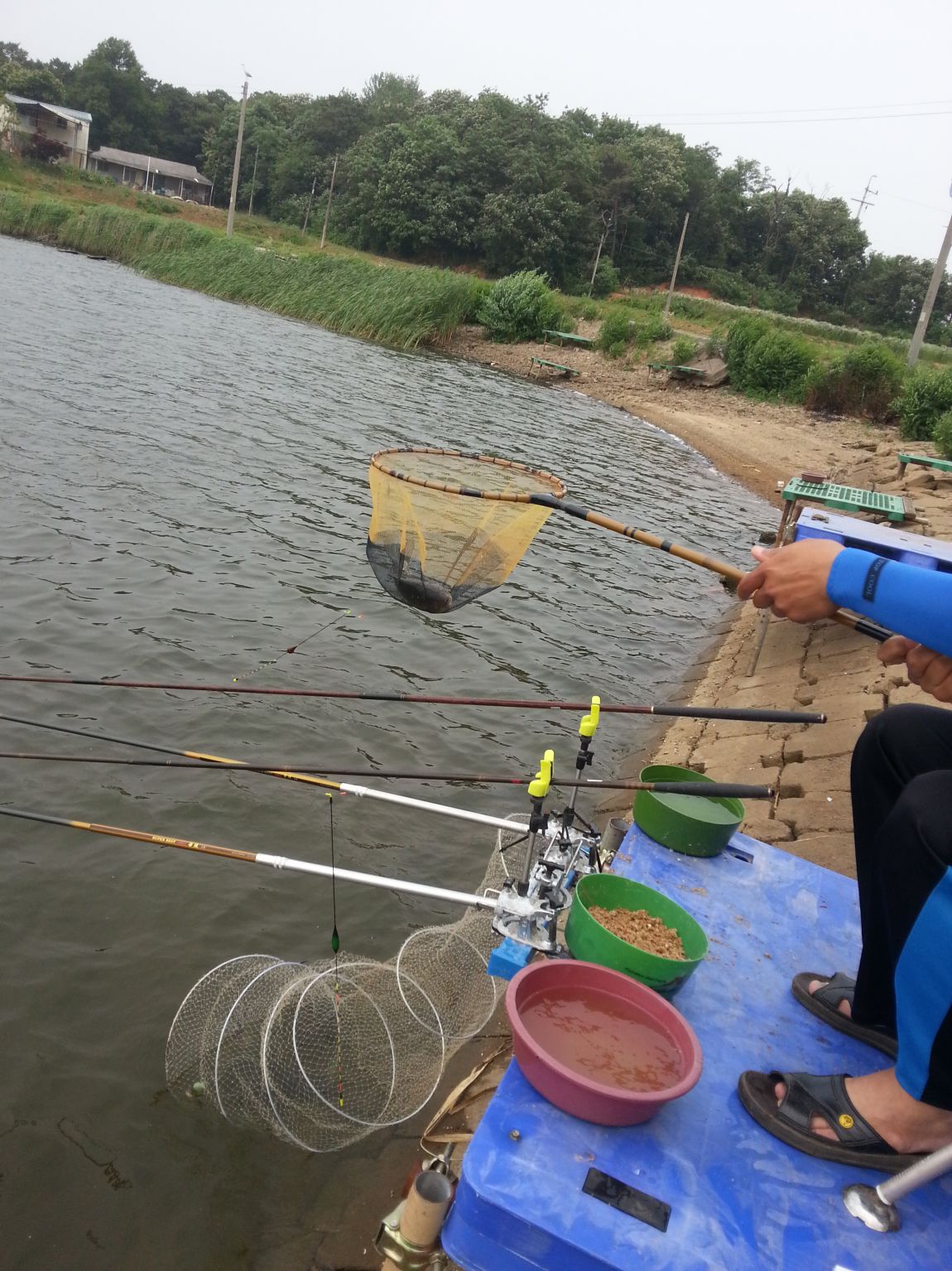 20150613_140519.jpg