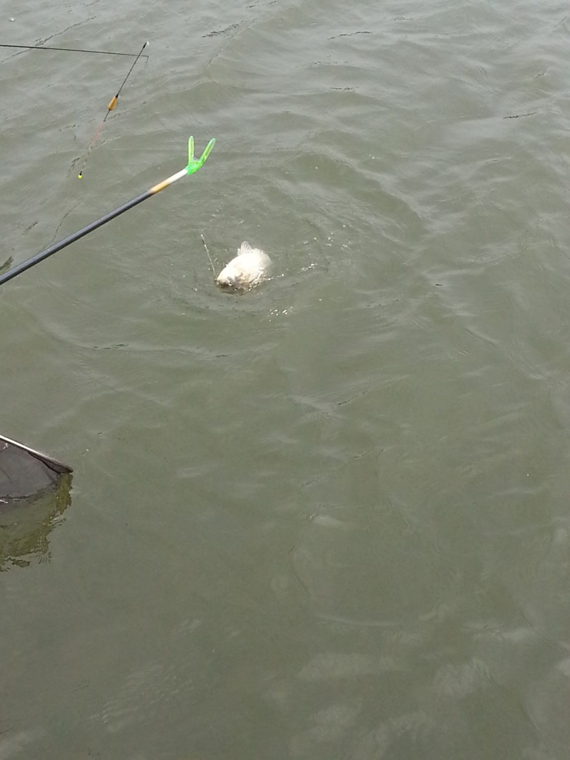 20150613_142451.jpg