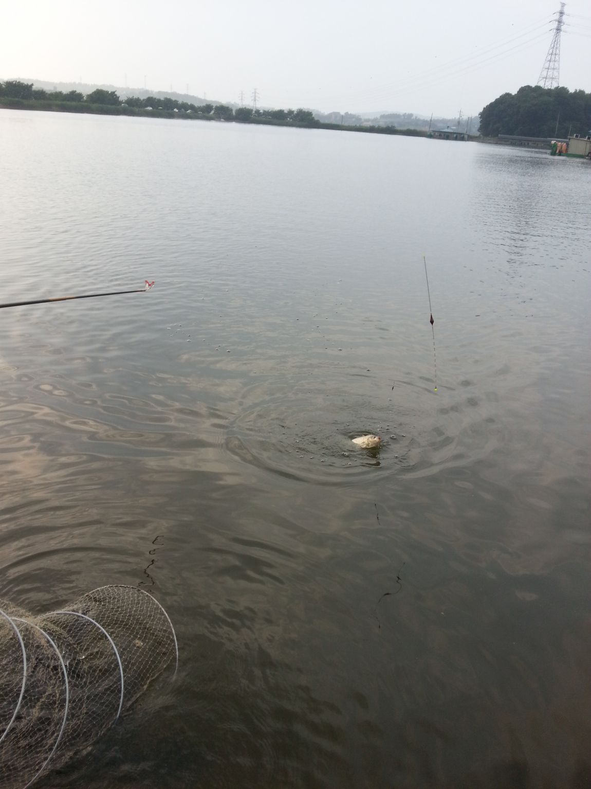 20150613_170423.jpg