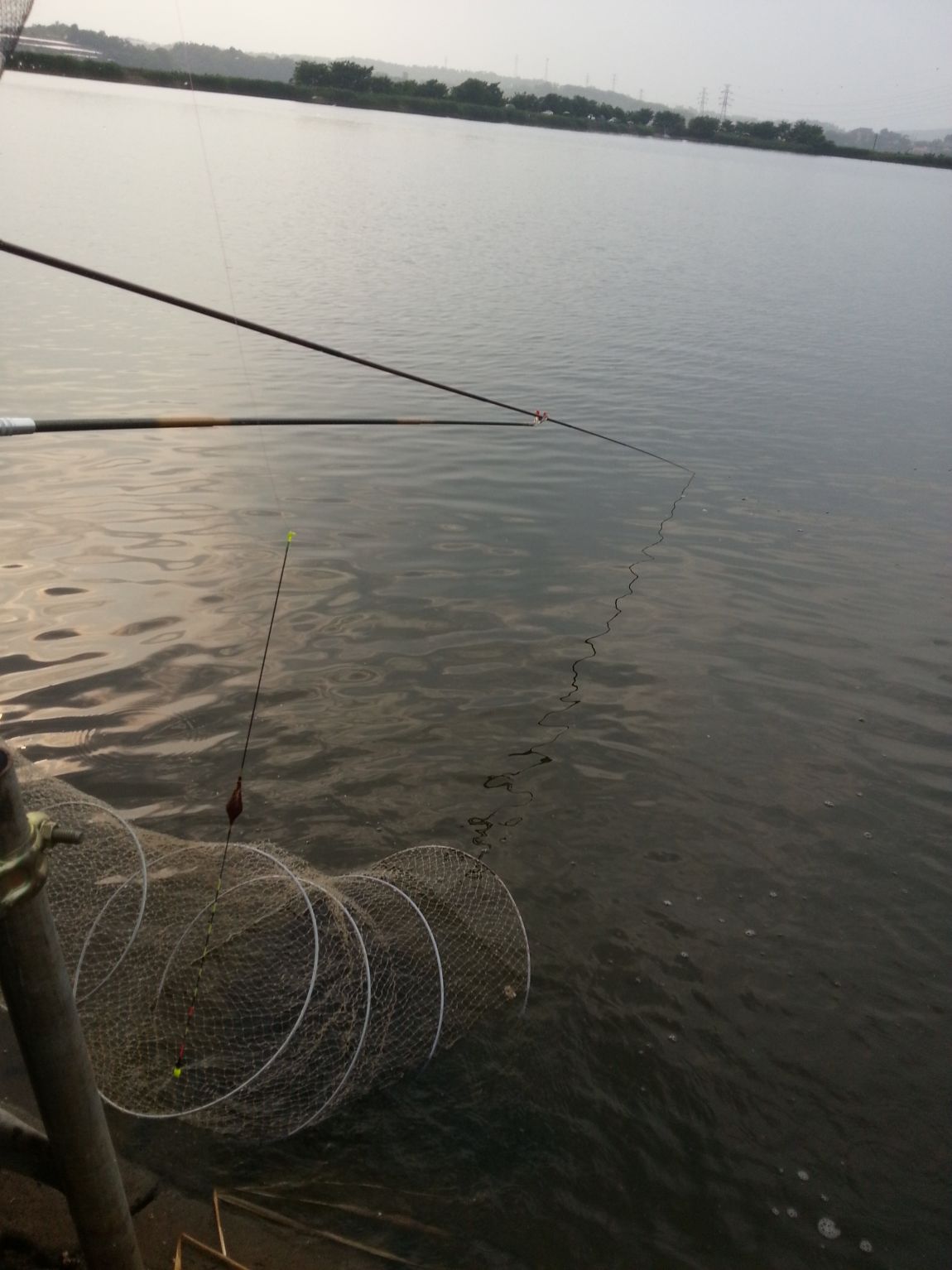 20150613_170438.jpg