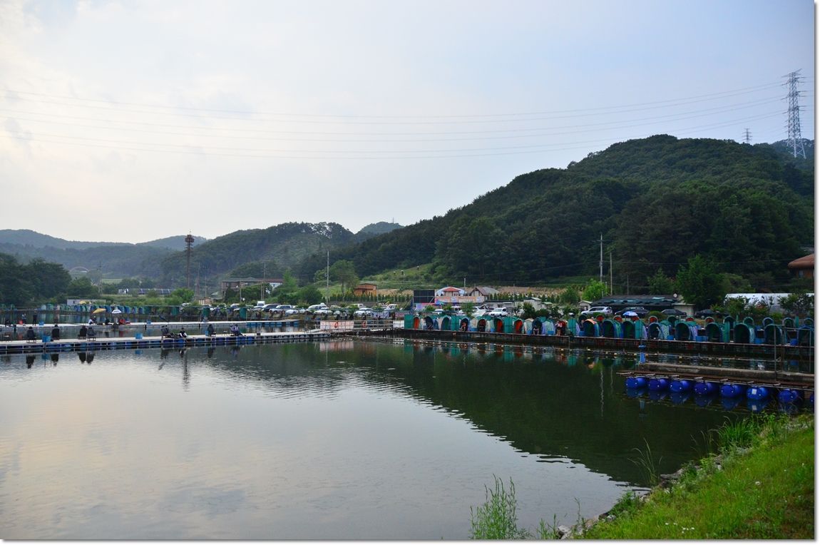 DSC_7859.JPG