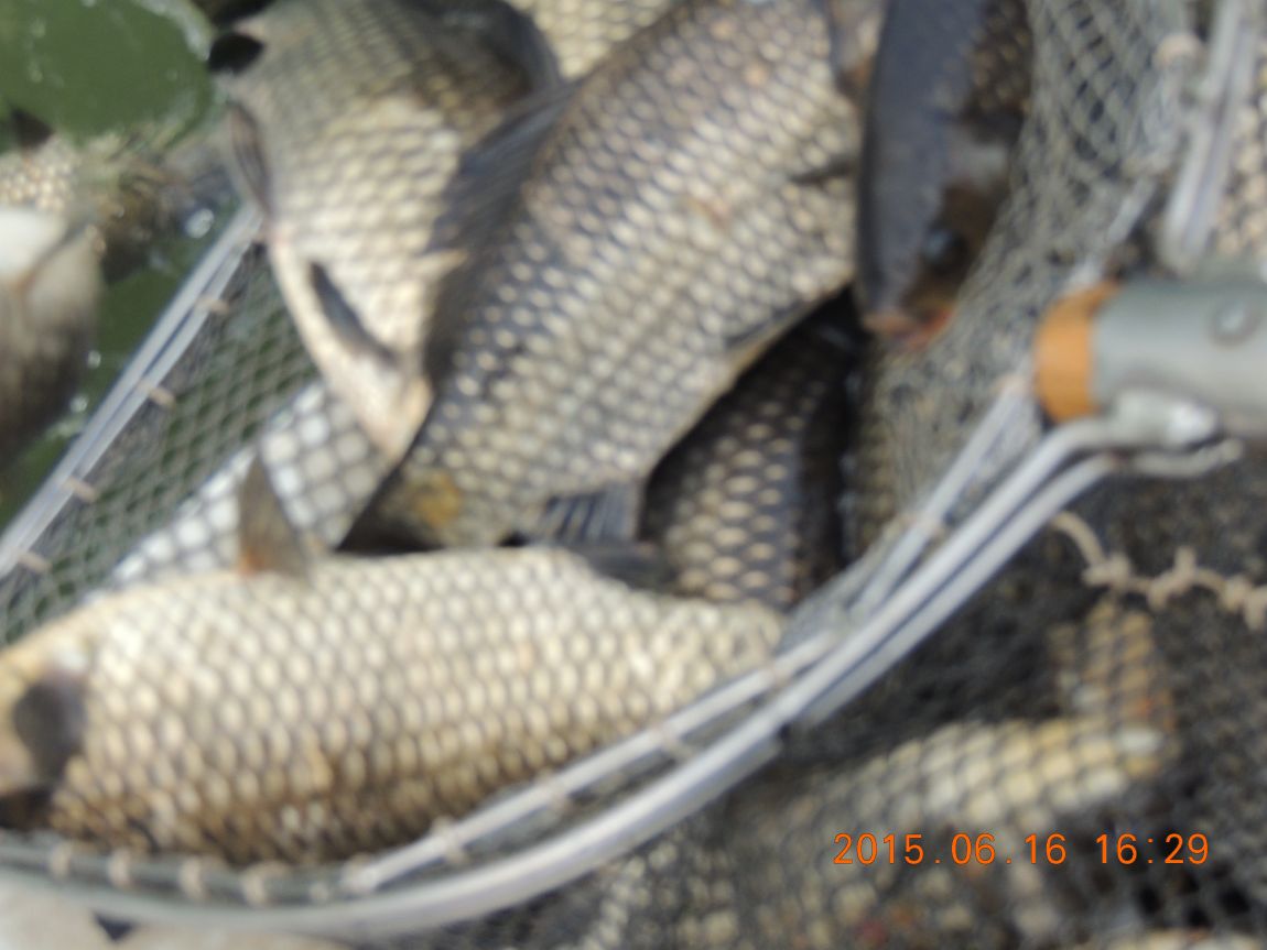 DSCN7260.JPG
