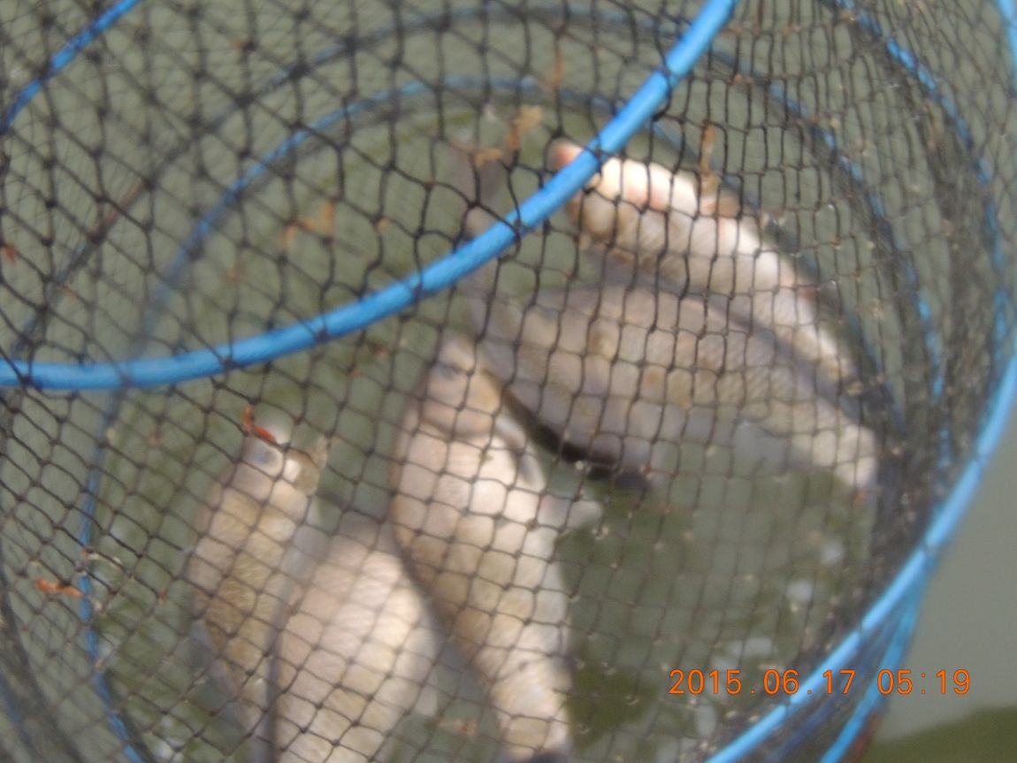 DSCN7293.JPG