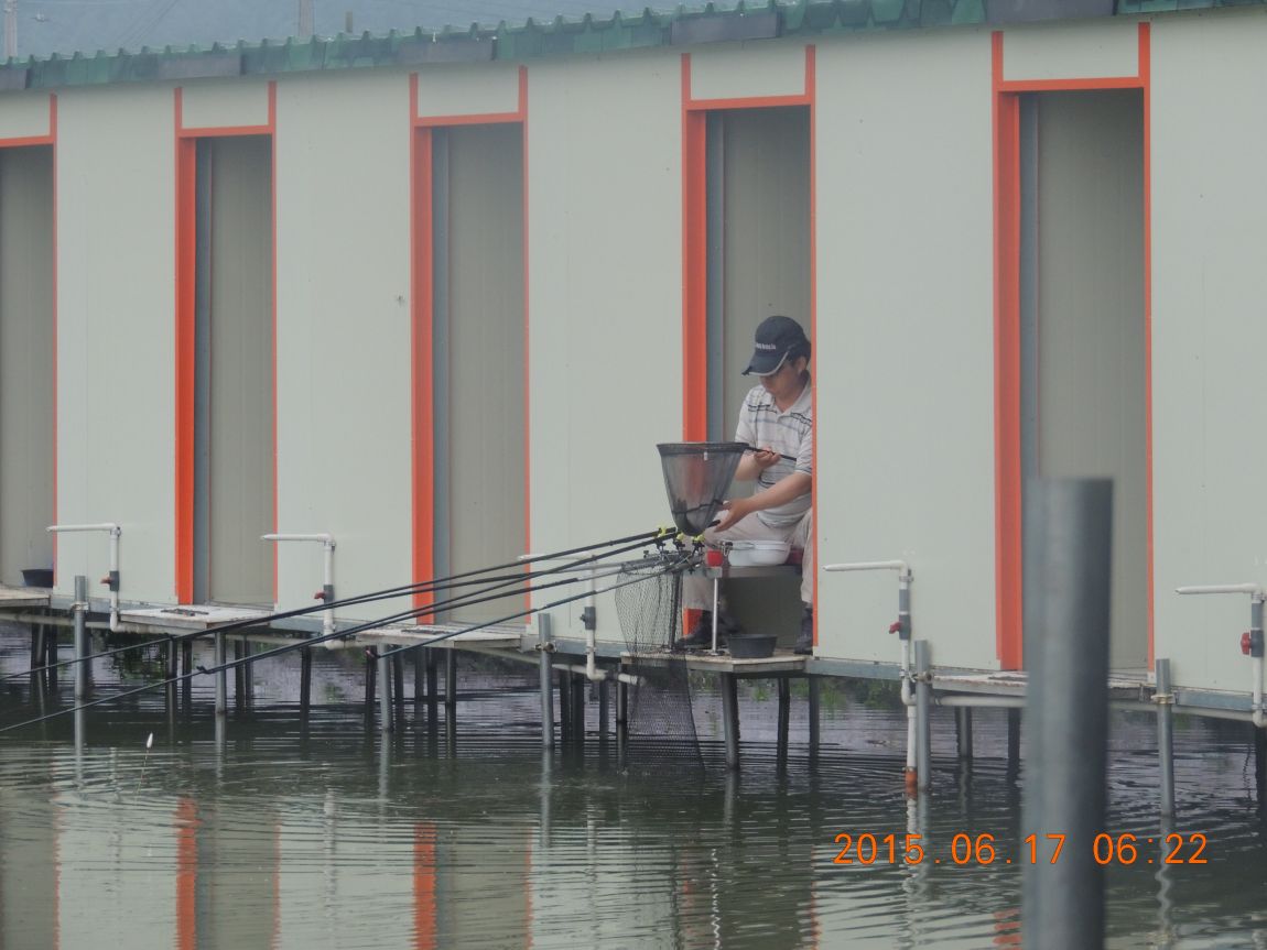 DSCN7295.JPG