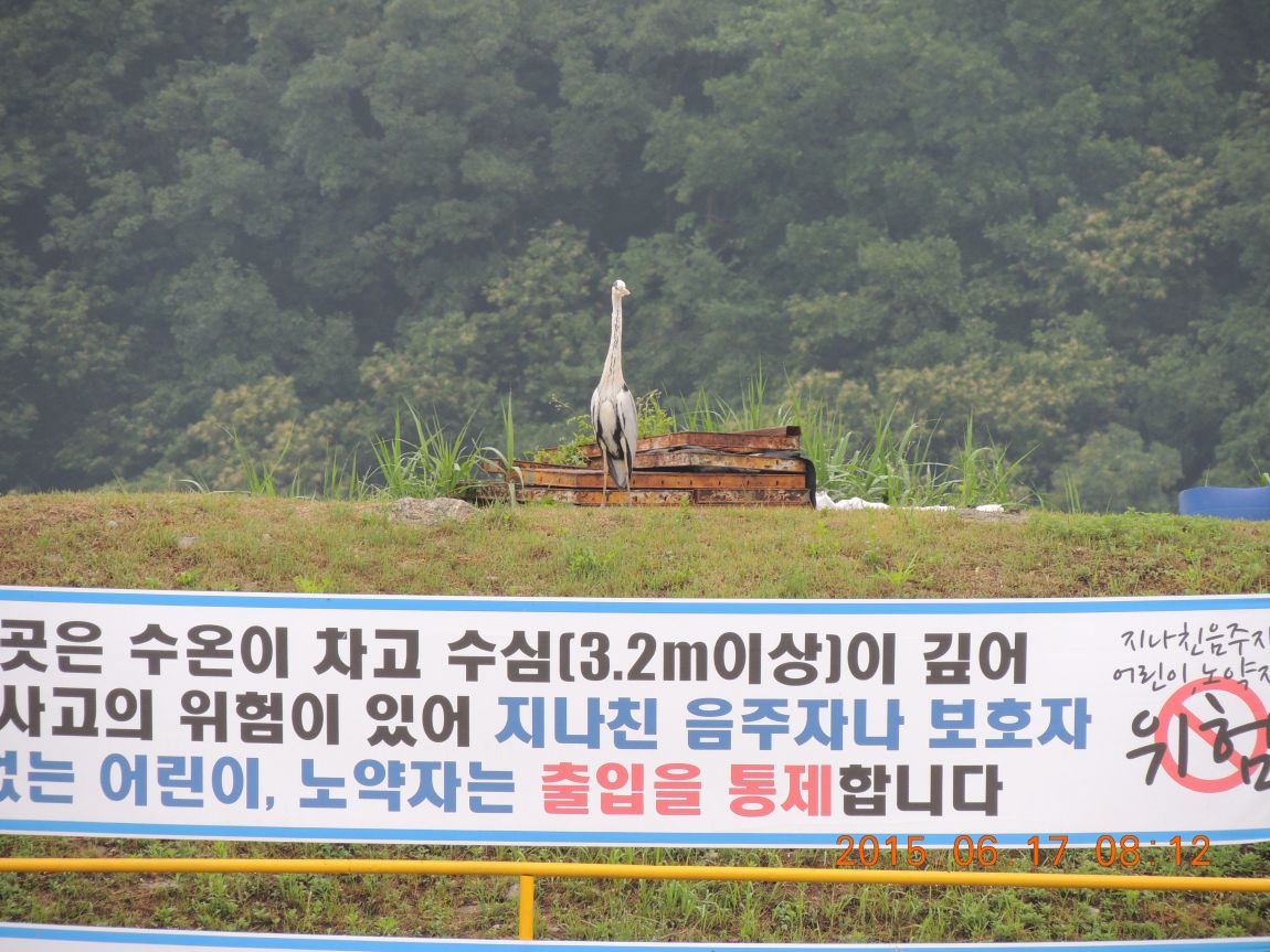 DSCN7308.JPG